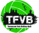 Logo Tarascon Foix VB