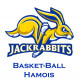 Logo Basket Ball Hamois
