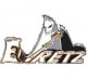 Logo Evretz