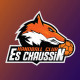Logo ES Chaussin HB 2