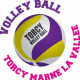 Logo VB Torcy Marne la Vallee 3