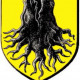 Logo AS Holtzheim