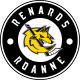 Logo Les Renards - Roanne