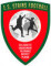 Logo ES Stains Football