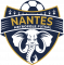 Logo Nantes Metropole Futsal 2