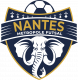 Logo Nantes Metropole Futsal 4
