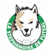 Logo US Stephanoise de Futsal 2