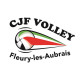 Logo CJF Fleury les Aubrais Volley