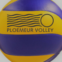 Logo Ploemeur Volley