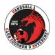Logo Handball Club Cournon d'Auvergne 3
