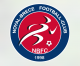 Logo Noyal Brece FC