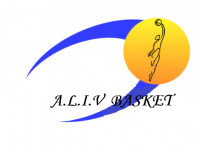 Logo Amicale Laïque Irigny Vernaison Basket