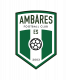 Logo Ent.S. Ambaresienne 5