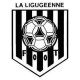 Logo La Ligugéenne Football