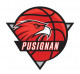 Logo Les Falcons de Pusignan