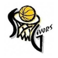 Logo SO Givors Basket