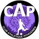 Logo CA Pithiviers