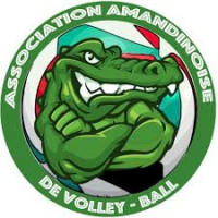 Logo Association Amandinoise de Volley-Ball