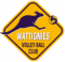 Logo Volley Ball Club Wattignies