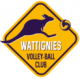 Logo Volley Ball Club Wattignies 2