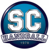 Saint Cyr Handball 2