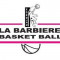 Logo Avignon Sport Barbiere Basket