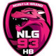 Logo Noisy le Grand Handball 4