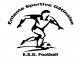 Logo ESG Football 