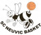 Logo SC Neuvic Basket