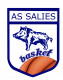 Logo AS Salisienne