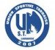 Logo US Tarbaise Nouvelle Vague 2
