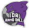 Logo IDA Handball