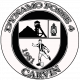 Logo Dynamo Fosse 4 Carvin