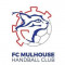 Logo Les Lynx Mulhouse 3