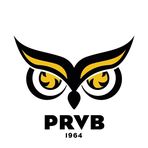 Logo Plessis-Robinson Volley Ball