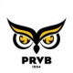 Logo Plessis-Robinson Volley Ball 3