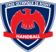 Logo Stade Olympique Rosny Handball 3