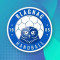 Logo Blagnac Handball