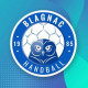 Logo Blagnac Handball 3