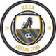 Logo USC Arnouville
