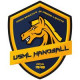 Logo US Maisons-Laffitte HB 3