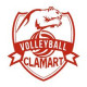 Logo Clamart Volley 2