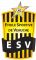 Logo Étoile Sportive de Veauche 4