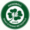 Logo Handball St Etienne Métropole 42