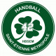 Logo Handball St Etienne Métropole 42 2