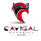 Logo Cavigal Nice Sports Handball 2