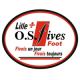 Logo Lille OS Fives 2