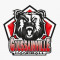 Logo Handball Goussainville