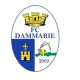 Logo Dammarie les Lys FC 2