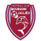 Logo FC Bourgoin Jallieu 3